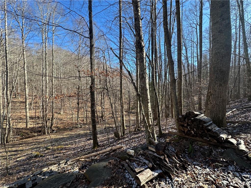 Tbd Rainbow Trail Boone, NC 28607 - Photo 17 of 27 Gallery Image 17