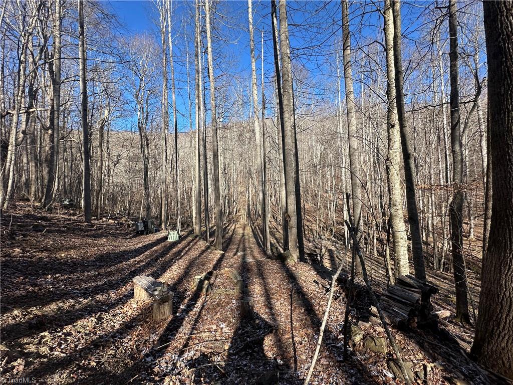 Tbd Rainbow Trail Boone, NC 28607 - Photo 18 of 27 Gallery Image 18
