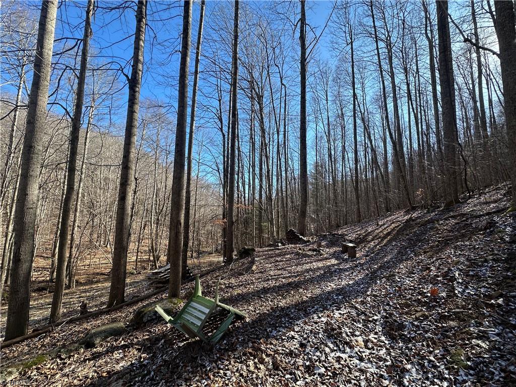 Tbd Rainbow Trail Boone, NC 28607 - Photo 19 of 27 Gallery Image 19