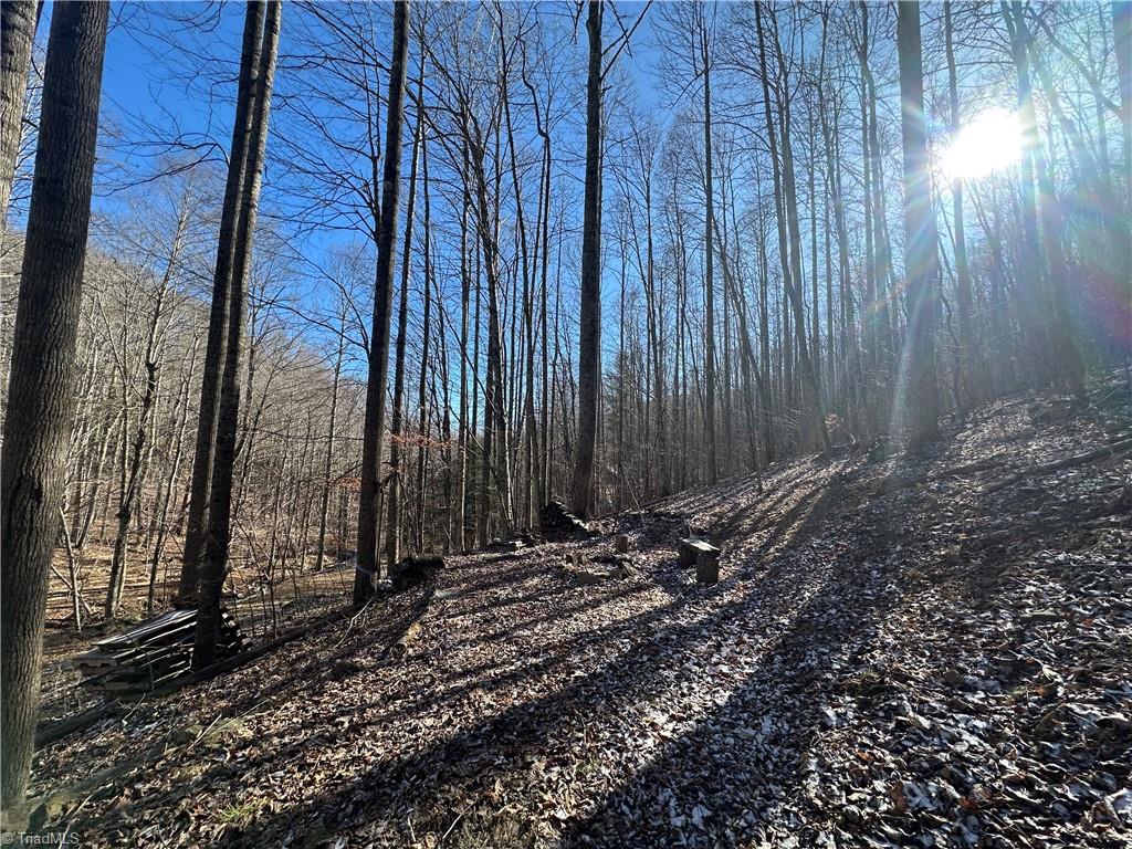 Tbd Rainbow Trail Boone, NC 28607 - Photo 20 of 27 Gallery Image 20