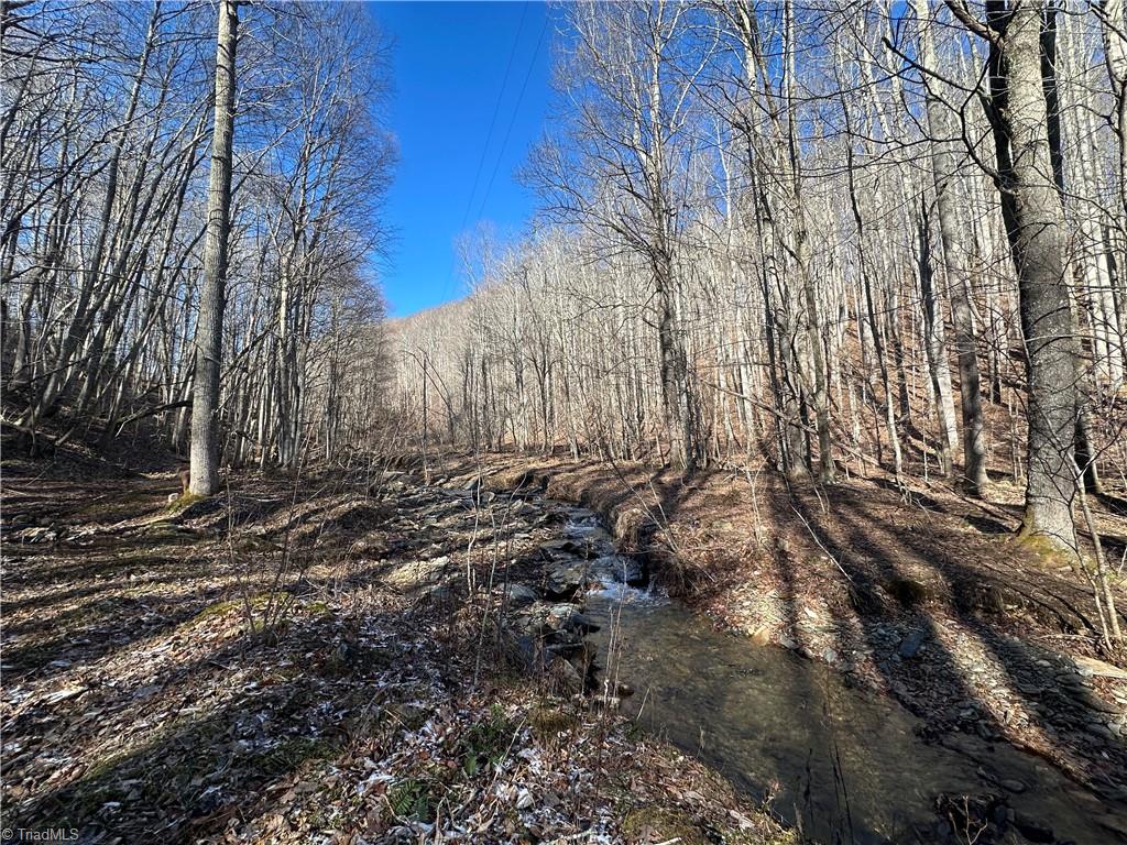 Tbd Rainbow Trail Boone, NC 28607 - Photo 21 of 27 Gallery Image 21