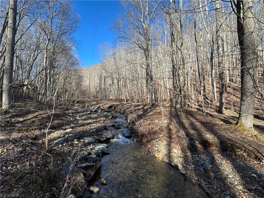Tbd Rainbow Trail Boone, NC 28607 - Photo 22 of 27 Gallery Image 22