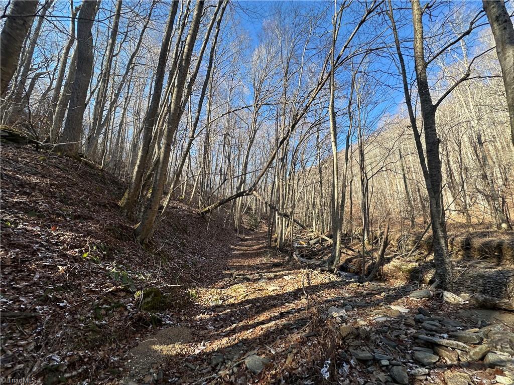 Tbd Rainbow Trail Boone, NC 28607 - Photo 23 of 27 Gallery Image 23