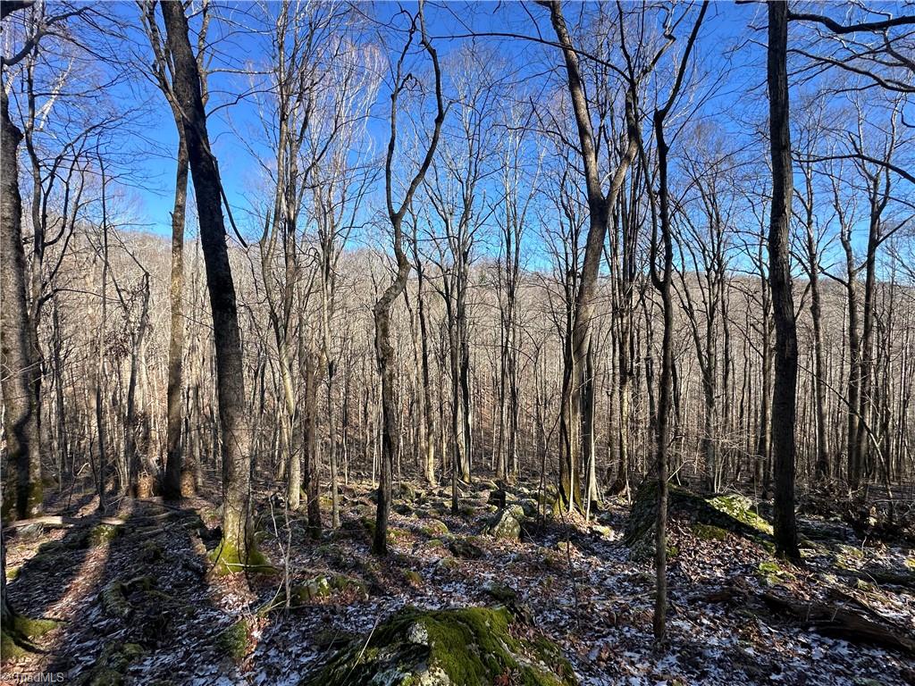 Tbd Rainbow Trail Boone, NC 28607 - Photo 25 of 27 Gallery Image 25