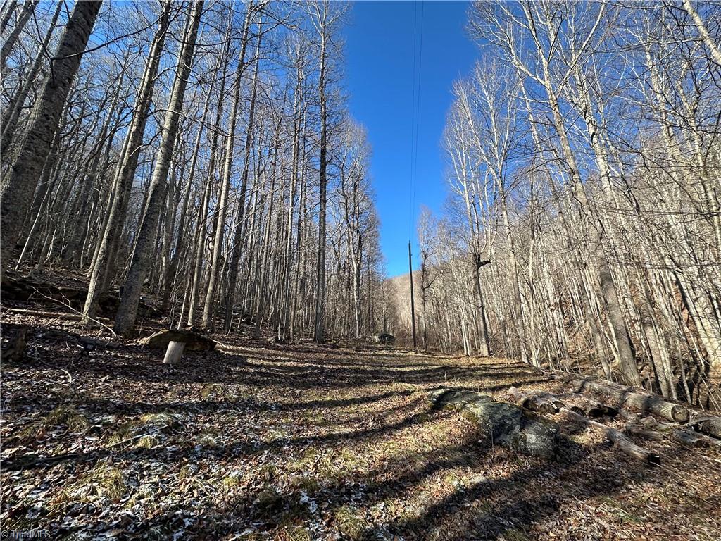 Tbd Rainbow Trail Boone, NC 28607 - Photo 26 of 27 Gallery Image 26