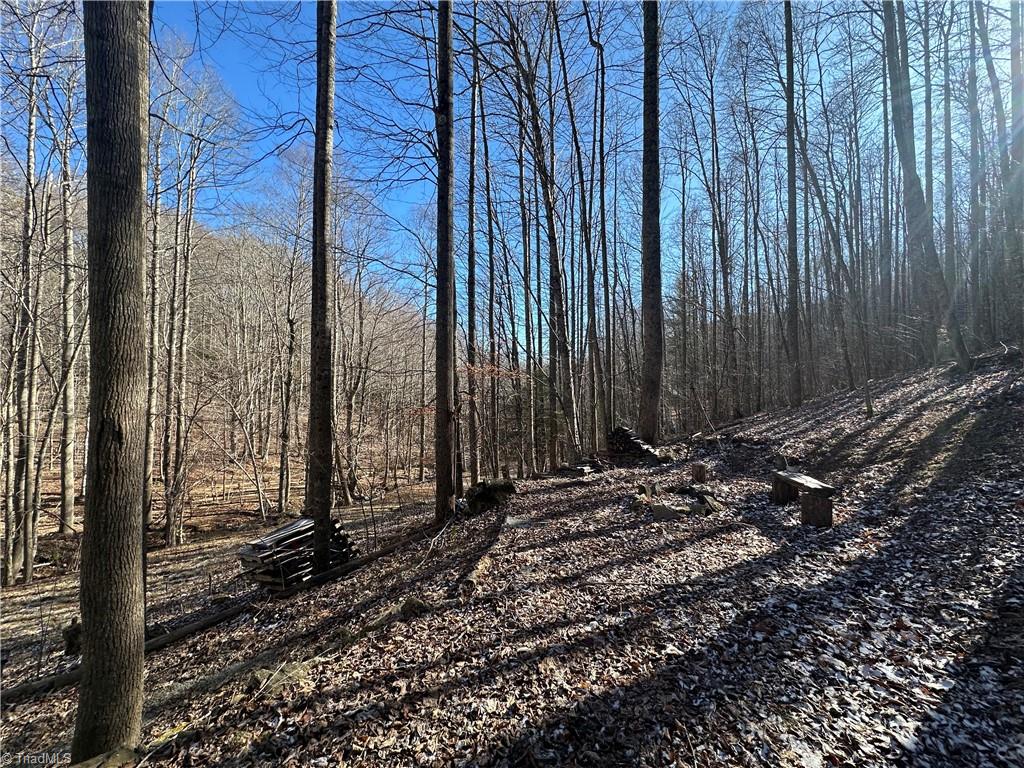 Tbd Rainbow Trail Boone, NC 28607 - Photo 7 of 27 Gallery Image 7