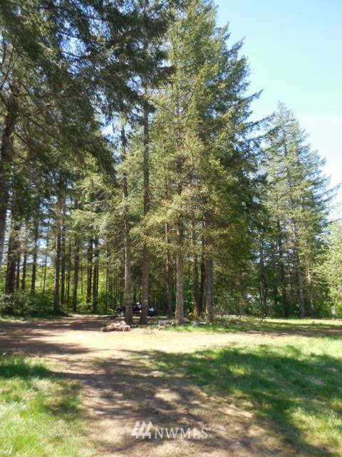24650 Northeast Cresap Road Battle Ground, WA 98604 - Photo 22 of 25 Gallery Image 22
