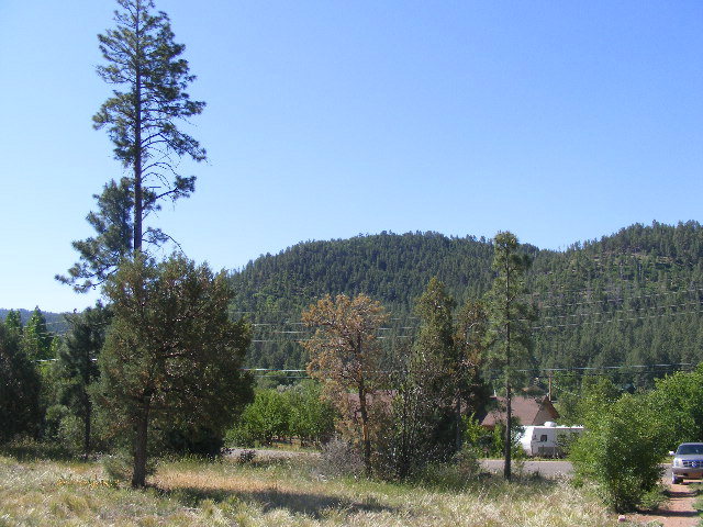 Lot 5 Fossil Creek Road Pine, AZ 85544 - Photo 3 of 8