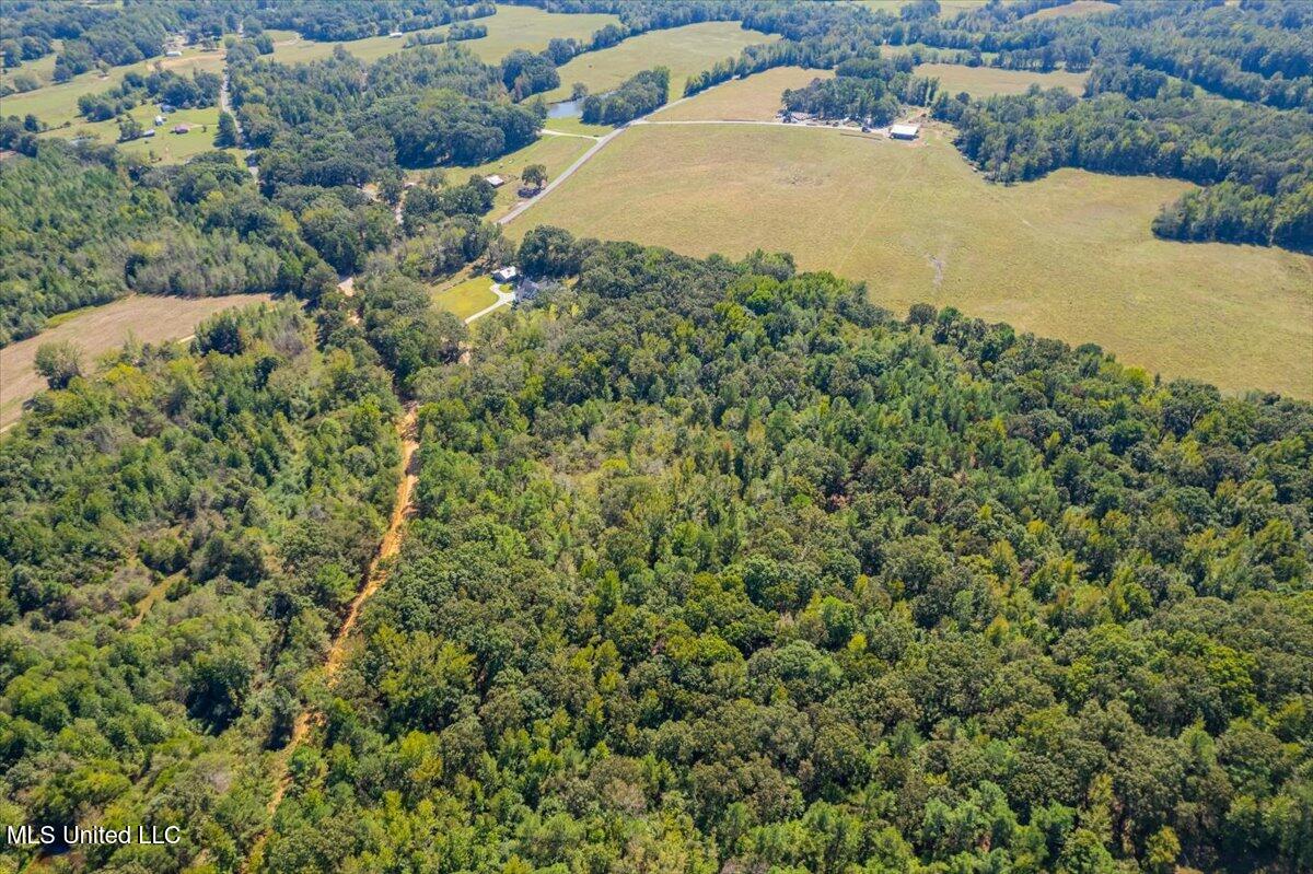 1037 Hogan Road Holly Springs, MS 38635 - Photo 62 of 68 09-9-1037 Hogan Rd