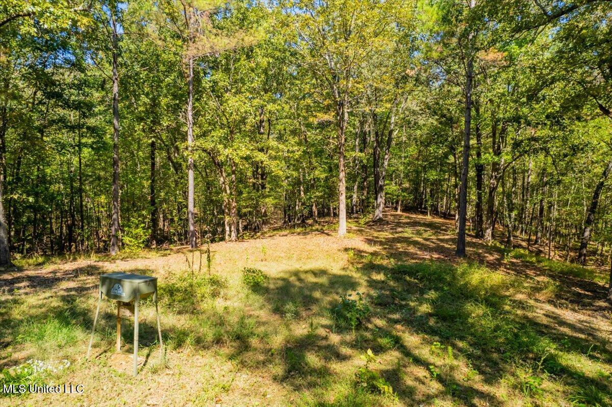 1037 Hogan Road Holly Springs, MS 38635 - Photo 66 of 68 22-22-1037 Hogan Rd