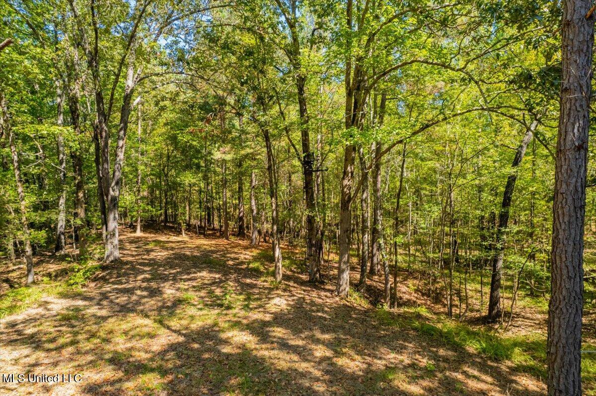 1037 Hogan Road Holly Springs, MS 38635 - Photo 67 of 68 23-23-1037 Hogan Rd