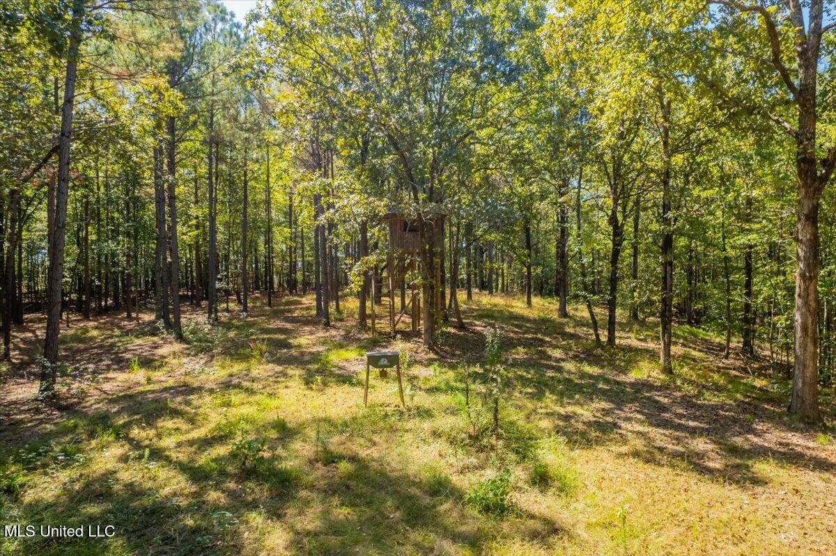1037 Hogan Road Holly Springs, MS 38635 - Photo 68 of 68 24-24-1037 Hogan Rd