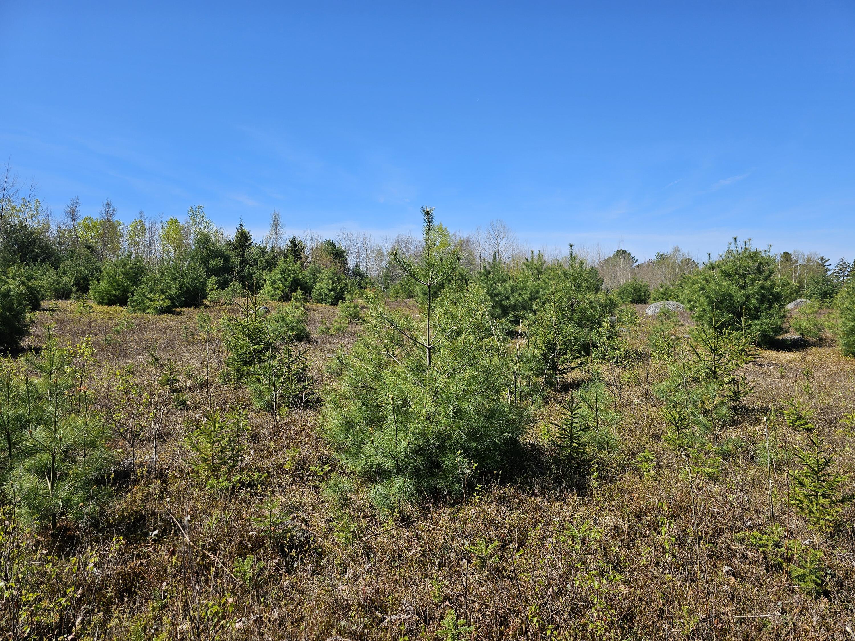 0 Georges Pond Road Franklin, ME 04634 - Photo 14 of 43 20250513_101139