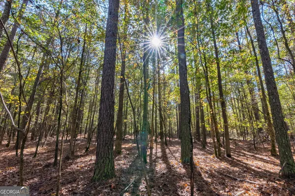 $845,500 | 0 Wilson Lane, Arnoldsville, GA 30619