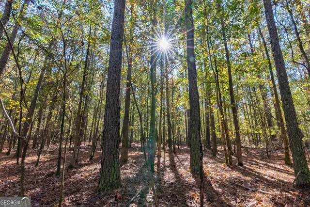 $845,500 | 0 Wilson Lane, Arnoldsville, GA 30619