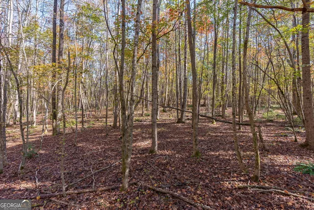 a view of outdoor space with deck and yard