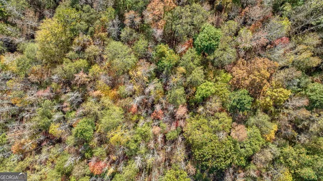 $845,500 | 0 Wilson Lane, Arnoldsville, GA 30619