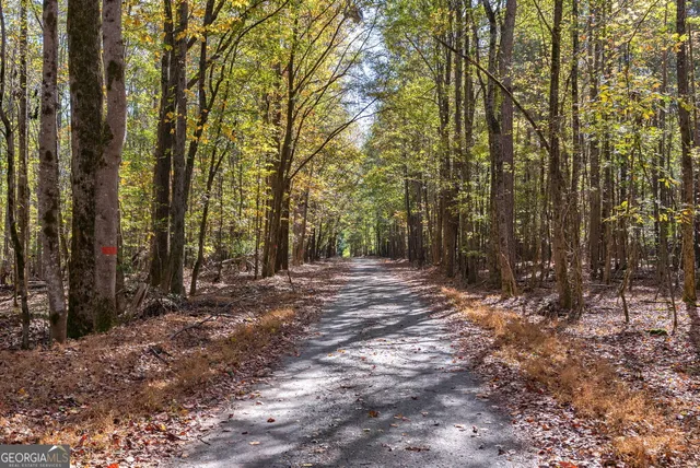a view of outdoor space and trees
