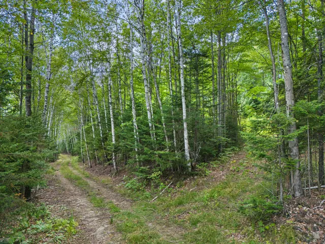 $75,000 | 382 Skyline Drive, Newry, ME 04261