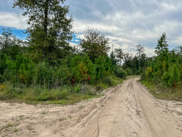 $77,200 | 1 Off Fm 1416, Bon Wier, TX 75928