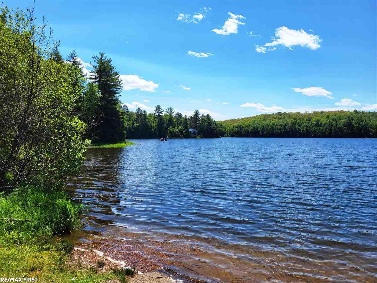 0 Engman Lake Access Road Skandia, MI 49885 - Photo 3 of 17