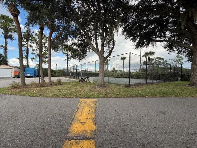 a view of a park with a large trees
