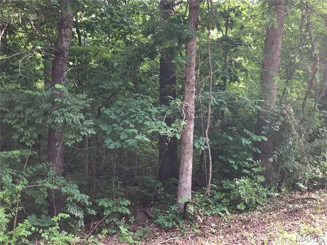 $40,000 | 0 Oak Hills Drive, Rolla, MO 65401