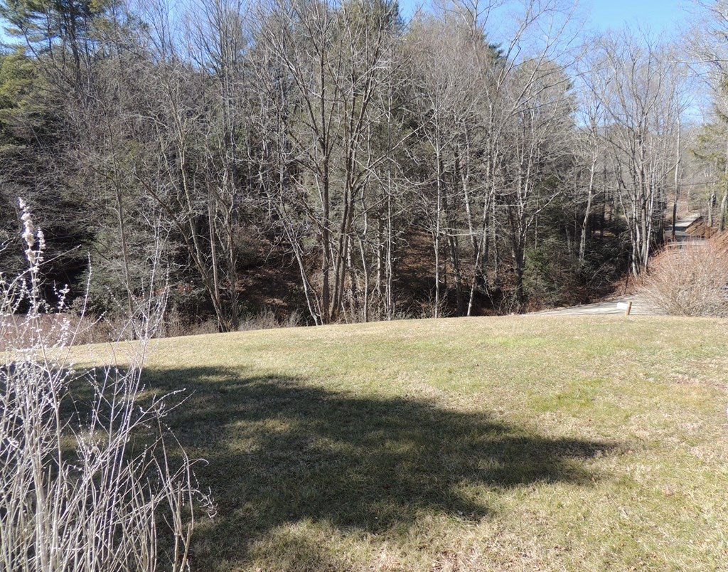 248 Rabbit Fork Road Troutdale, VA 24378 - Photo 12 of 45 Gallery Image 12