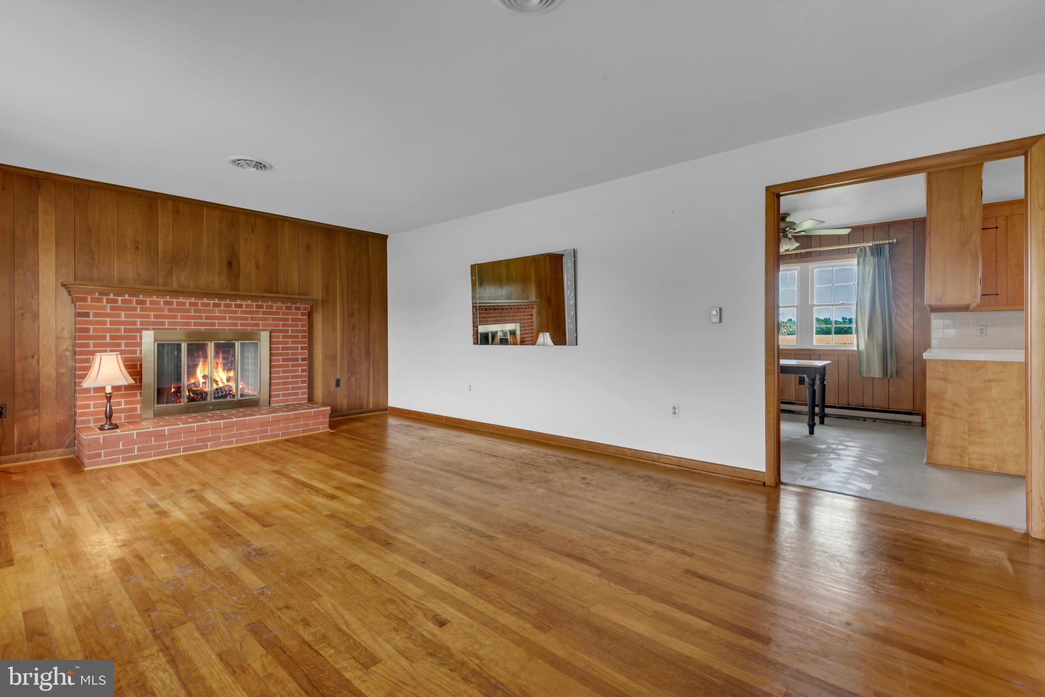 8629 Airy Hill Road Chestertown, MD 21620 - Photo 11 of 45 Living Room with Fireplace