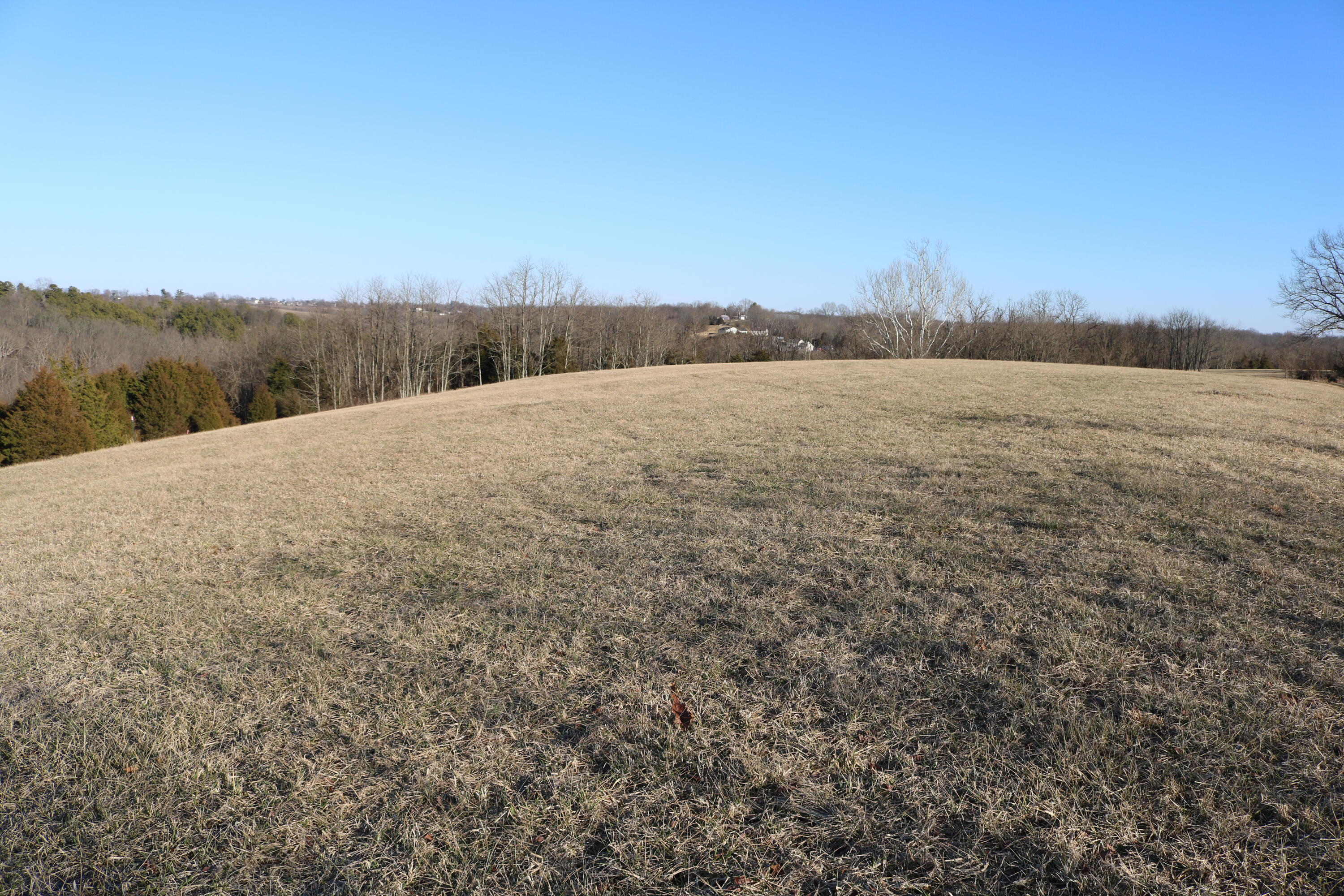 5.21-acres Vallandingham Road Dry Ridge, KY 41035 - Photo 6 of 10
