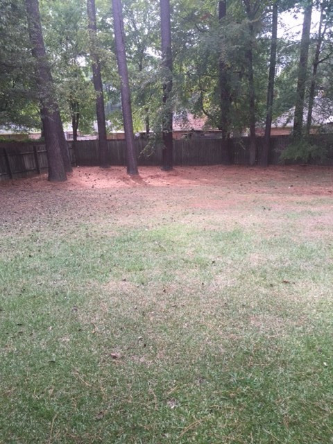107 Harbor Road Madison, MS 39110 - Photo 24 of 28 Photo 24