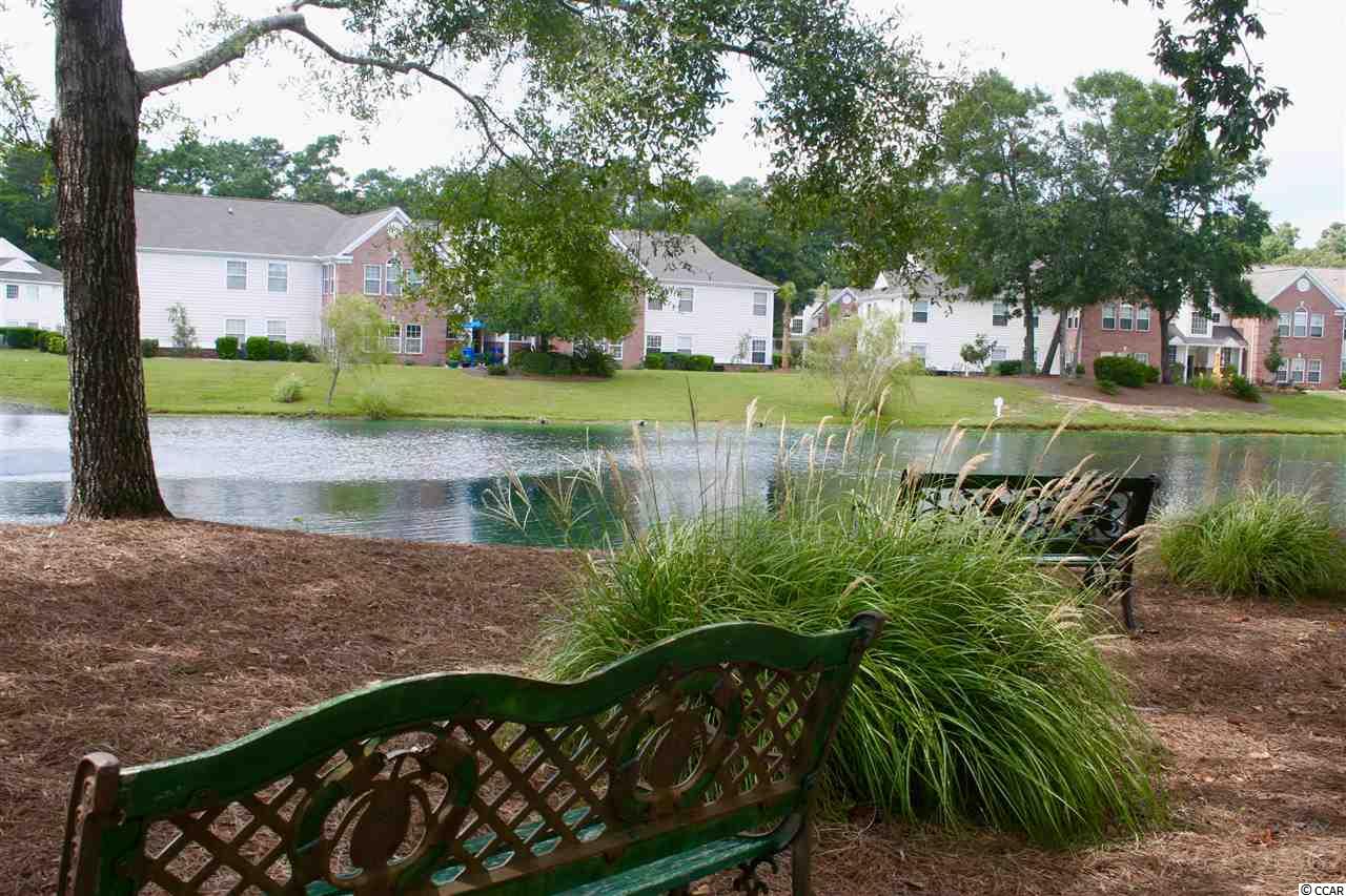 4290 Santolina Way, Unit C Murrells Inlet, SC 29576 - Photo 4 of 23 Gallery Image 4