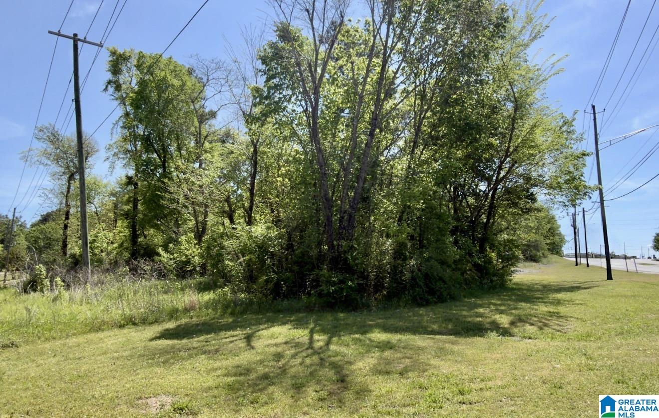2111 Decatur Highway Fultondale, AL 35068 - Photo 6 of 13
