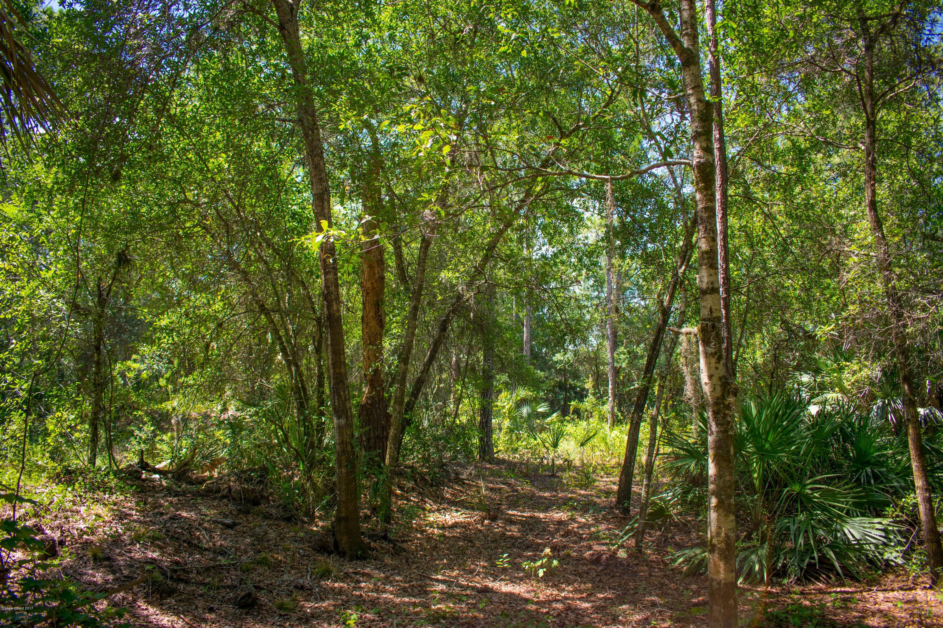 0 Cox Road Cocoa, FL 32926 - Photo 11 of 23 DSC_0353