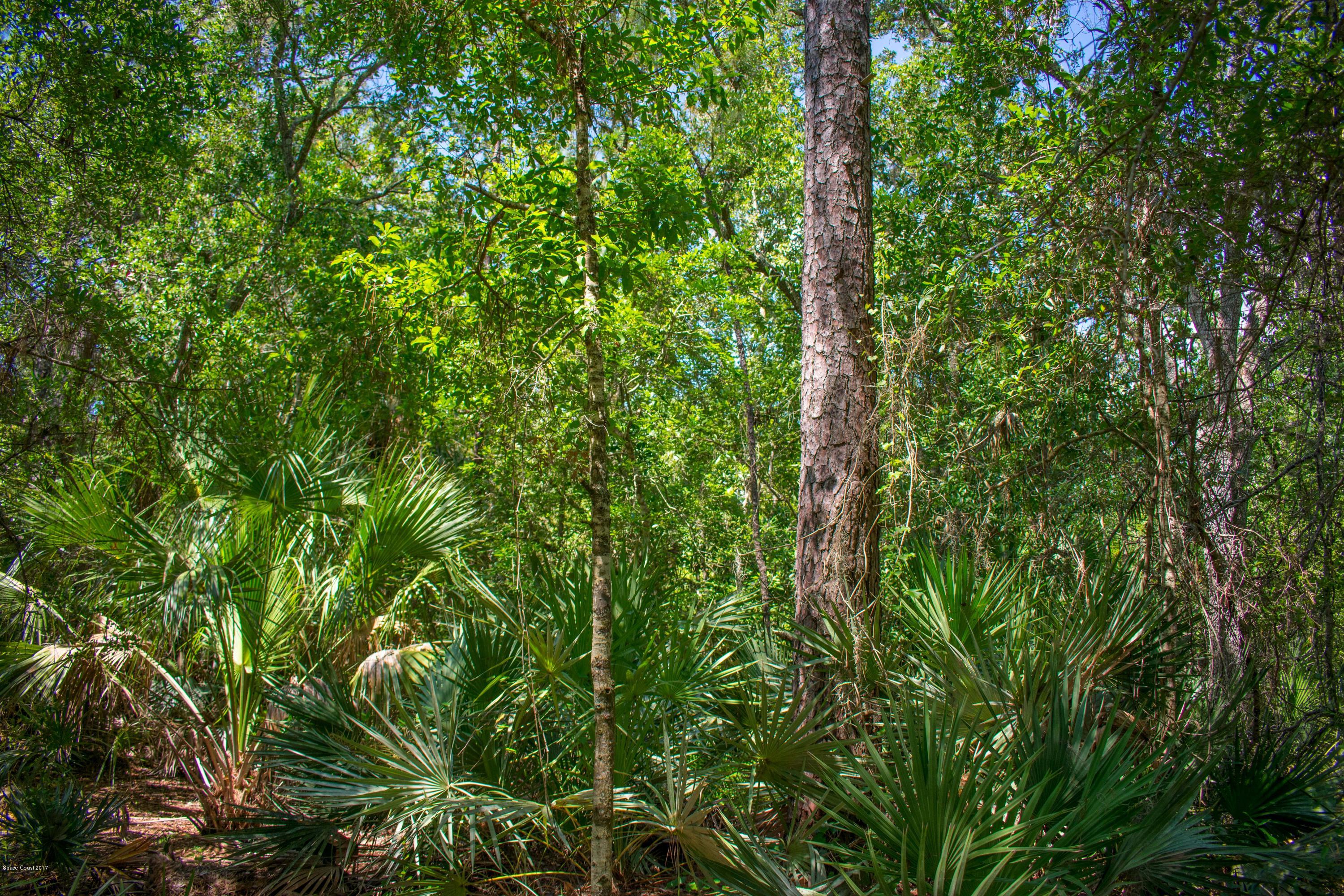 0 Cox Road Cocoa, FL 32926 - Photo 12 of 23 DSC_0354