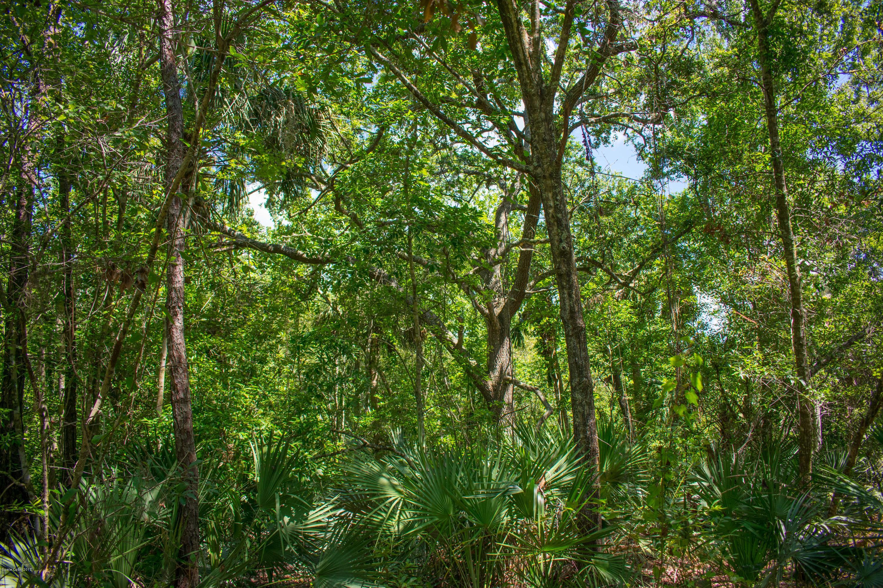 0 Cox Road Cocoa, FL 32926 - Photo 13 of 23 DSC_0355