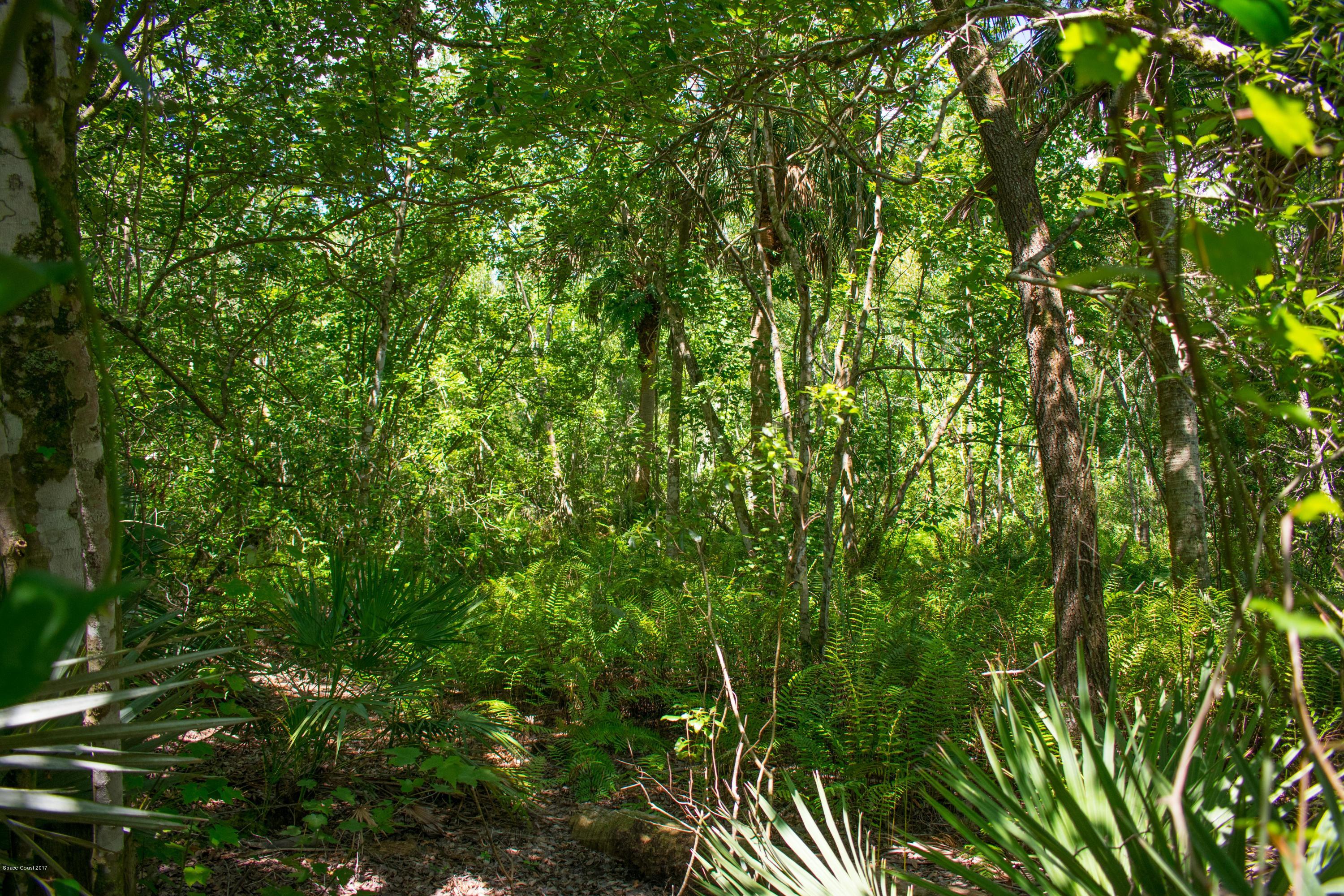0 Cox Road Cocoa, FL 32926 - Photo 14 of 23 DSC_0356