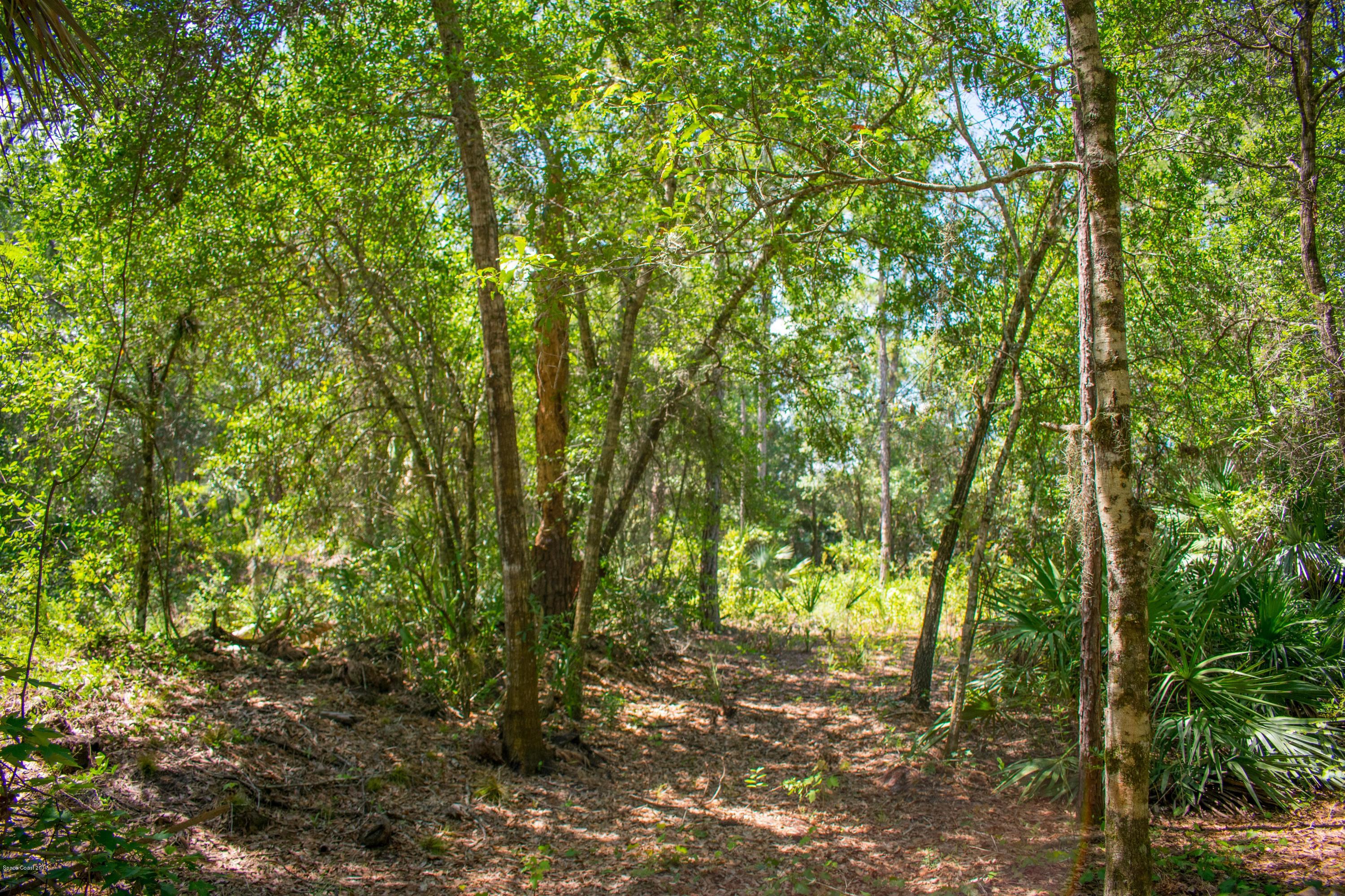 0 Cox Road Cocoa, FL 32926 - Photo 17 of 23 DSC_0359