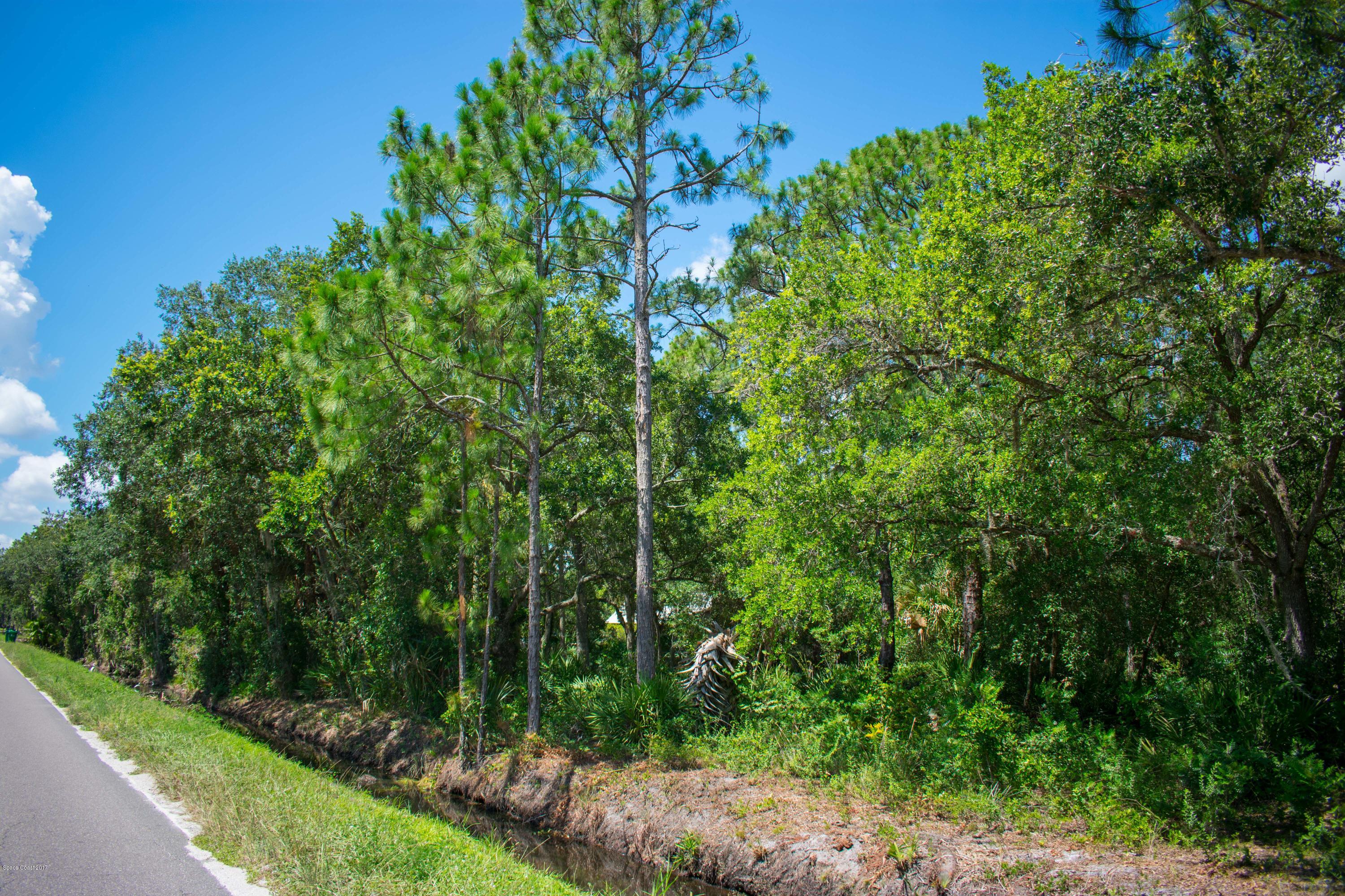 0 Cox Road Cocoa, FL 32926 - Photo 19 of 23 DSC_0361