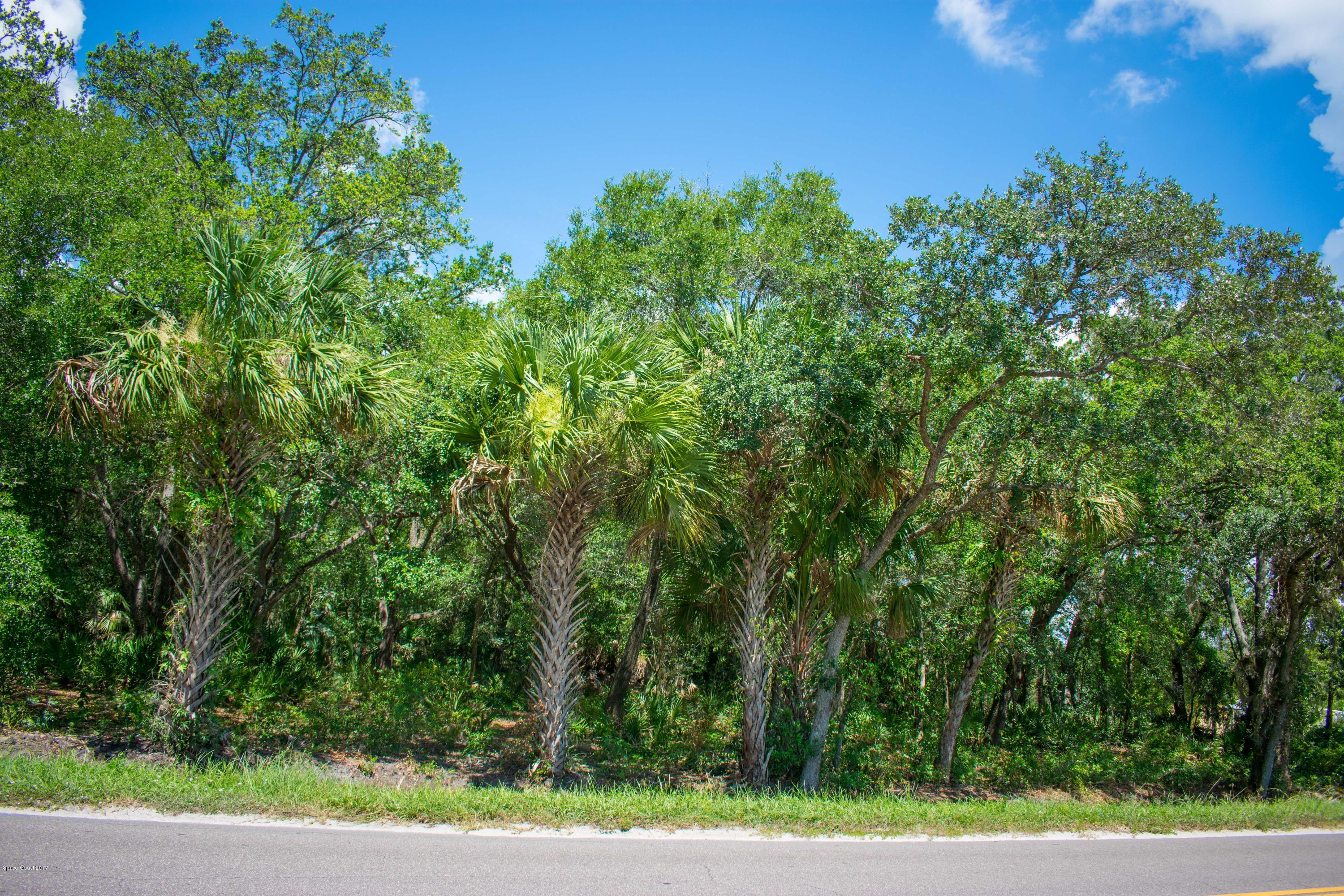 0 Cox Road Cocoa, FL 32926 - Photo 20 of 23 DSC_0362
