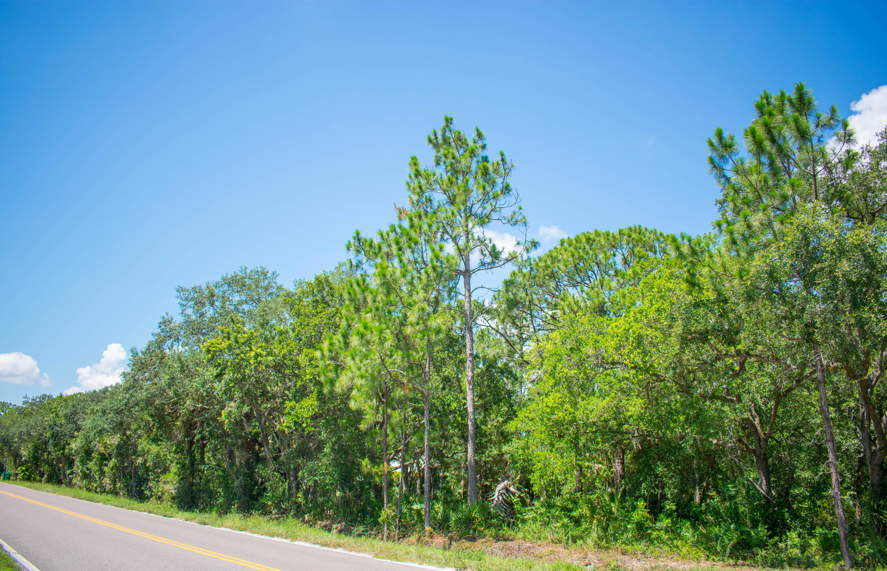 0 Cox Road Cocoa, FL 32926 - Photo 21 of 23 DSC_0363