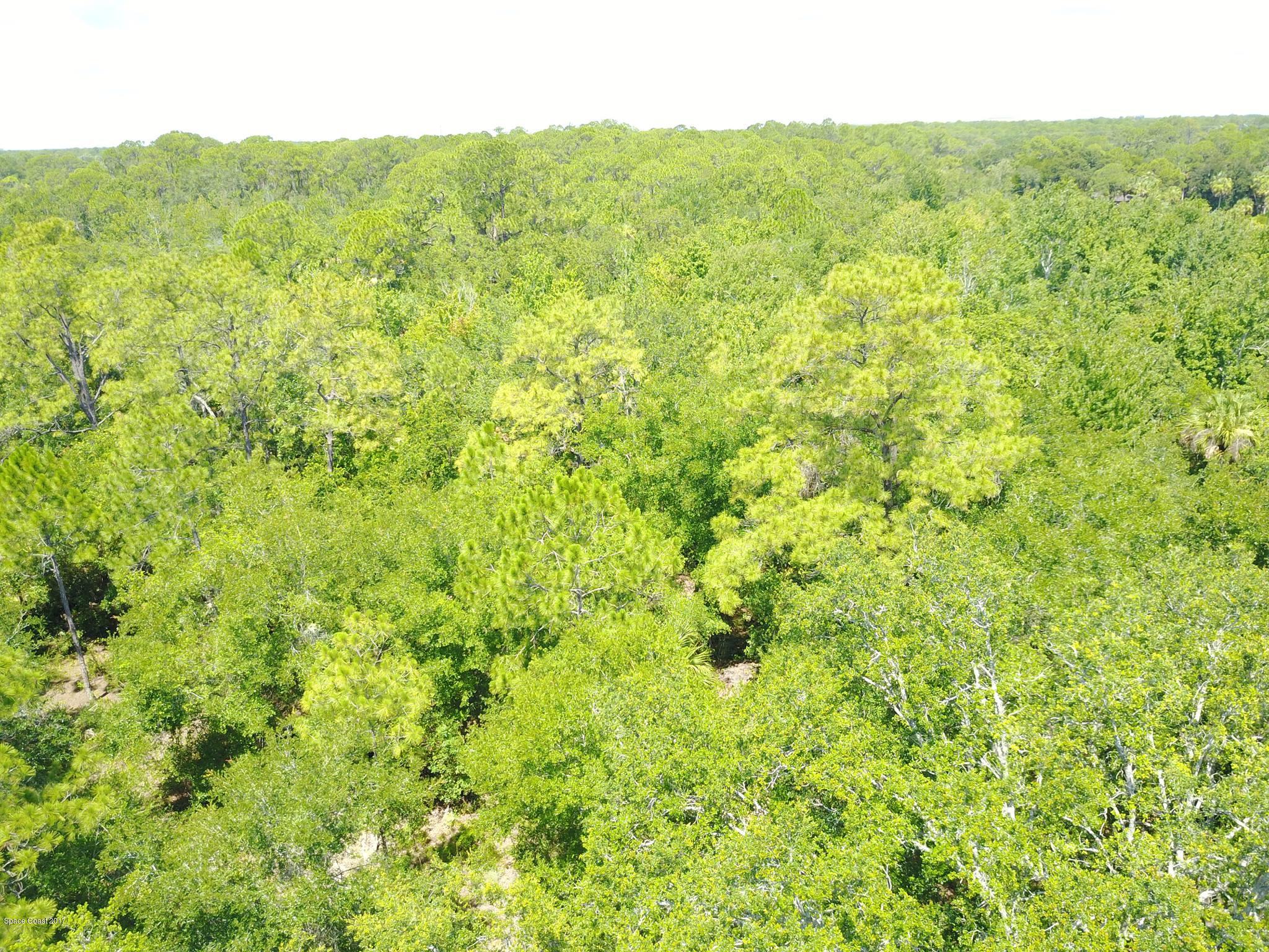 0 Cox Road Cocoa, FL 32926 - Photo 22 of 23 19850897_10207567043492606_993601426_o