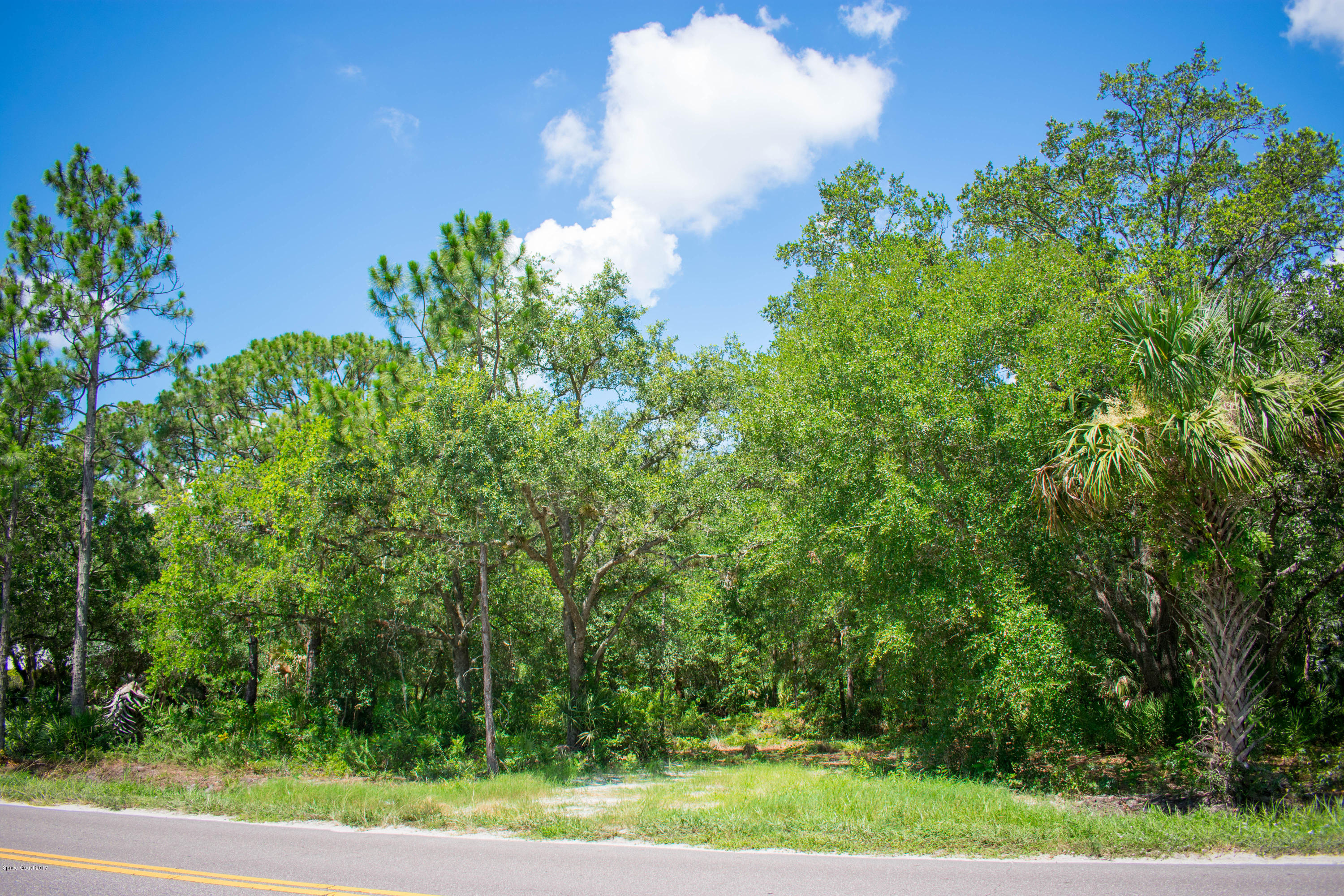0 Cox Road Cocoa, FL 32926 - Photo 4 of 23 DSC_0366