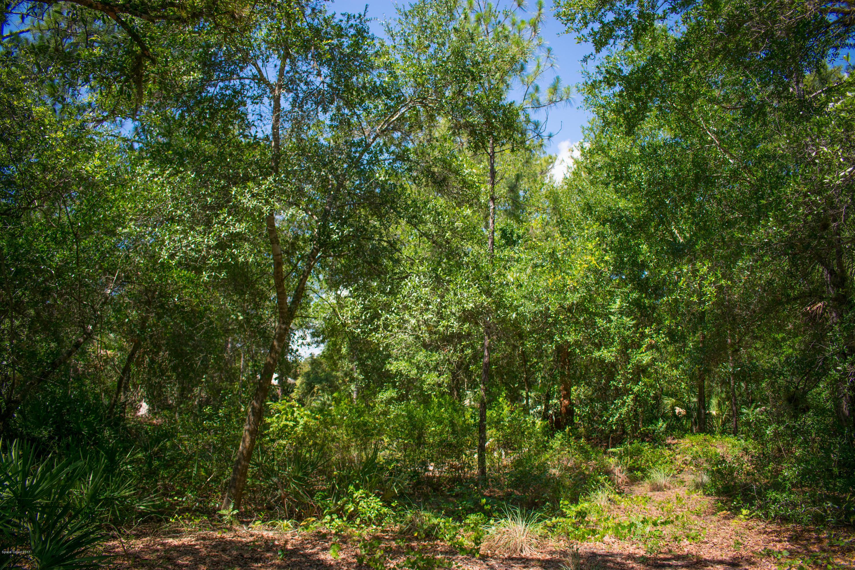 0 Cox Road Cocoa, FL 32926 - Photo 5 of 23 DSC_0348