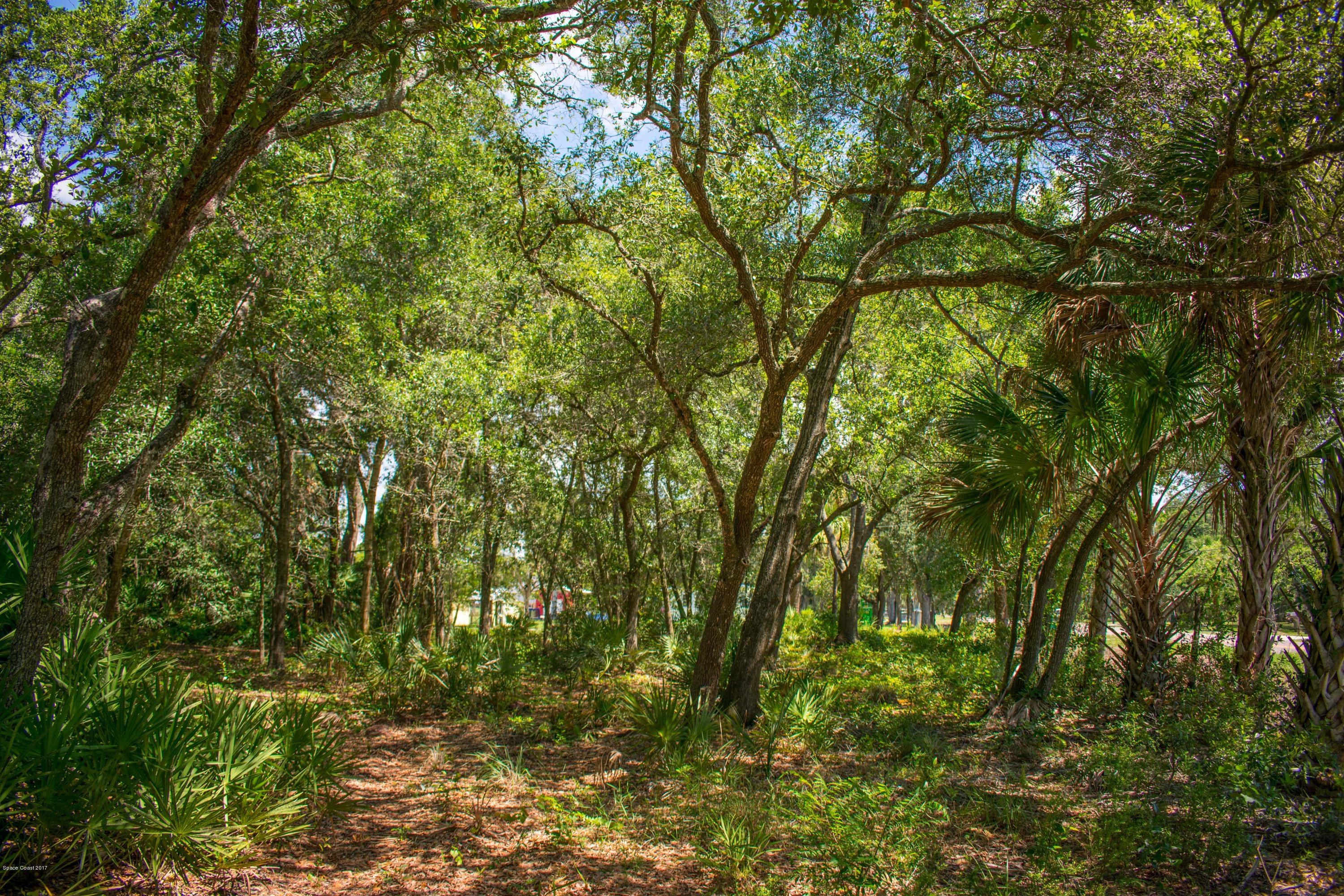 0 Cox Road Cocoa, FL 32926 - Photo 8 of 23 DSC_0350