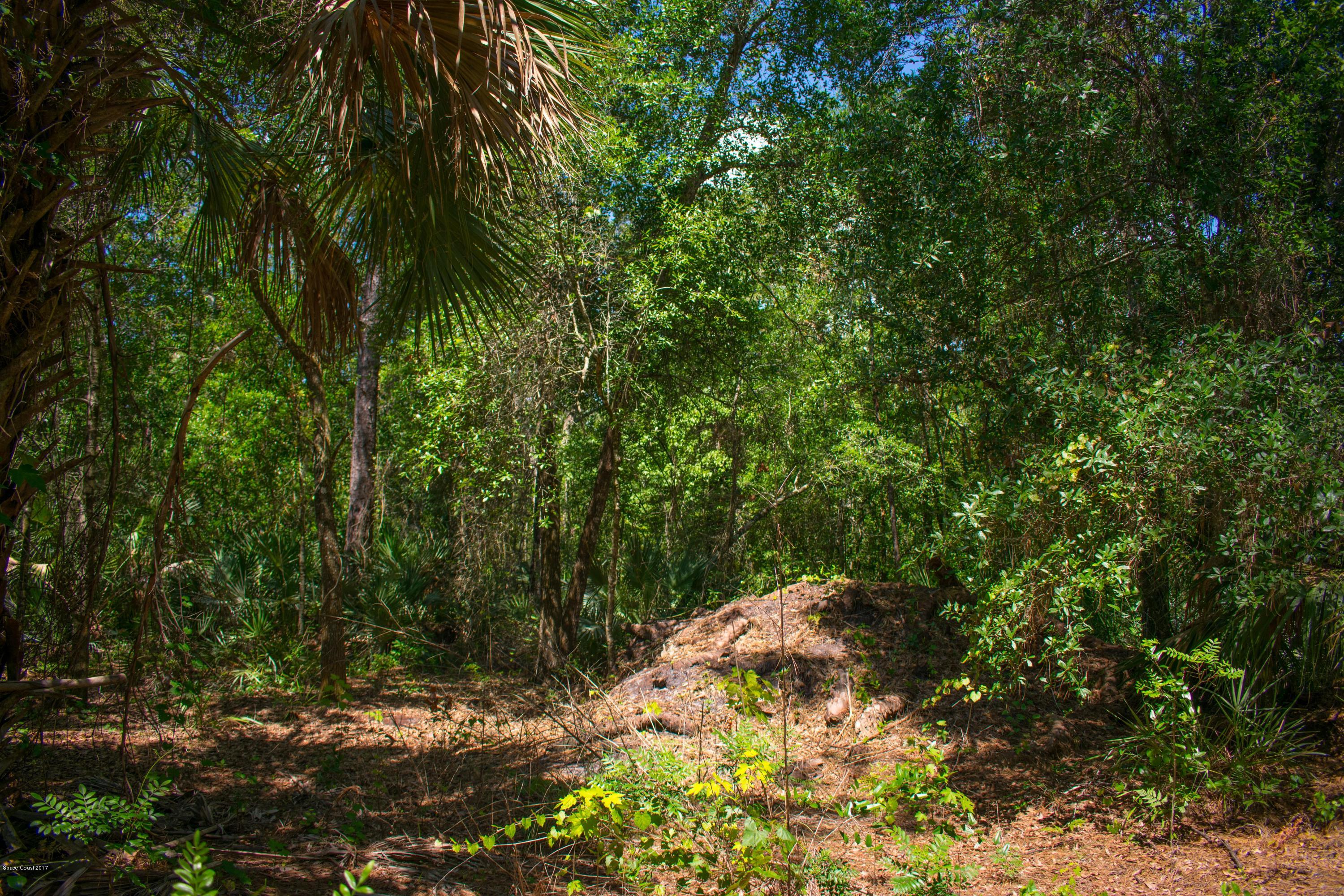 0 Cox Road Cocoa, FL 32926 - Photo 10 of 23 DSC_0352