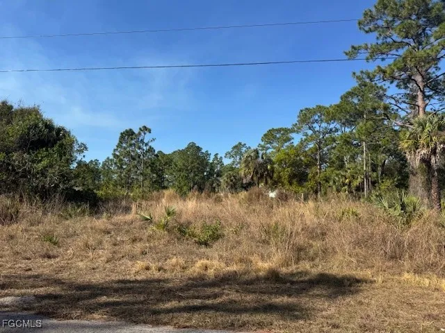 $35,500 | 2117 Moore Avenue, Alva, FL 33920