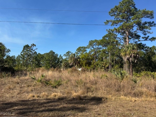 2117 Moore Avenue Alva, FL 33920 - Photo 2 of 5