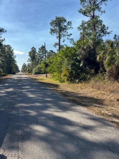 2117 Moore Avenue Alva, FL 33920 - Photo 3 of 5