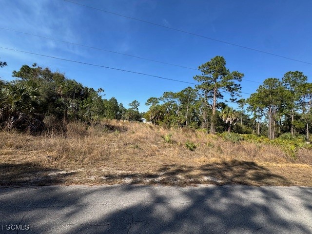 2117 Moore Avenue Alva, FL 33920 - Photo 4 of 5